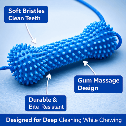 Dog Toothbrushing Toy