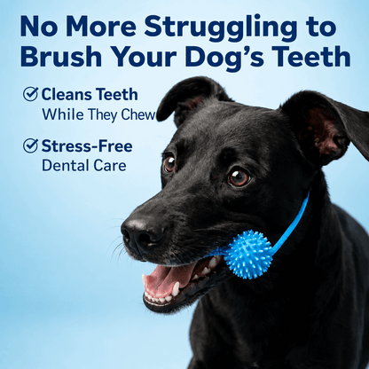 Dog Toothbrushing Toy