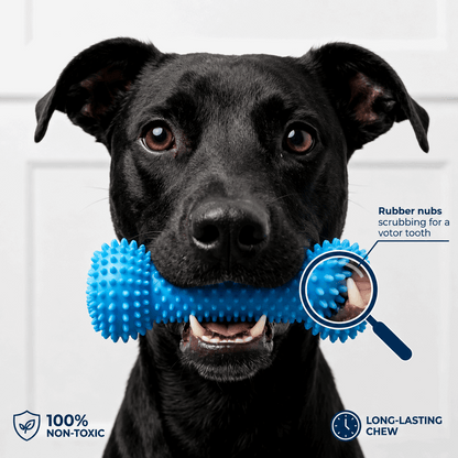 Dog Toothbrushing Toy