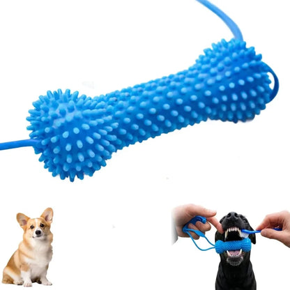 Dog Toothbrushing Toy